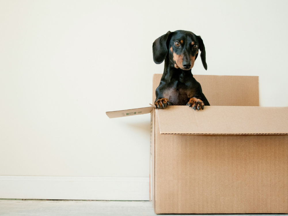 Move InOut Clean Cleaning in Ohio